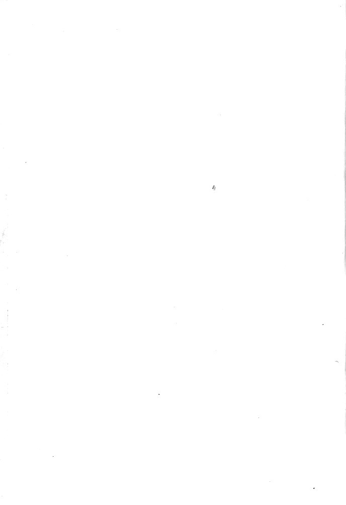 J192.jpg
