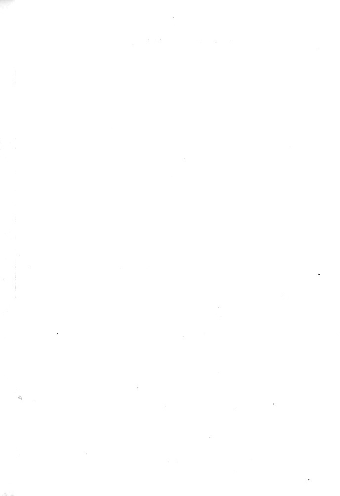N272.jpg