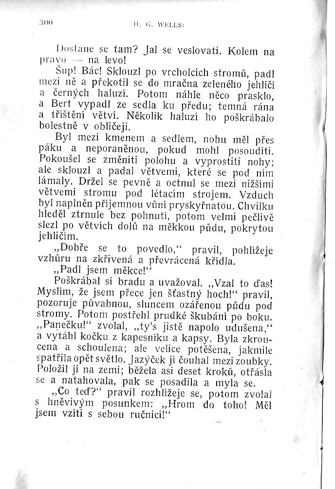 N300.jpg