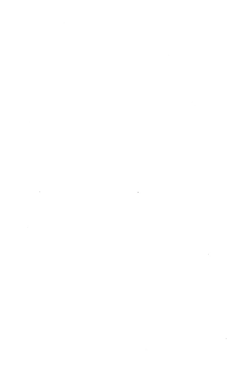 008.jpg