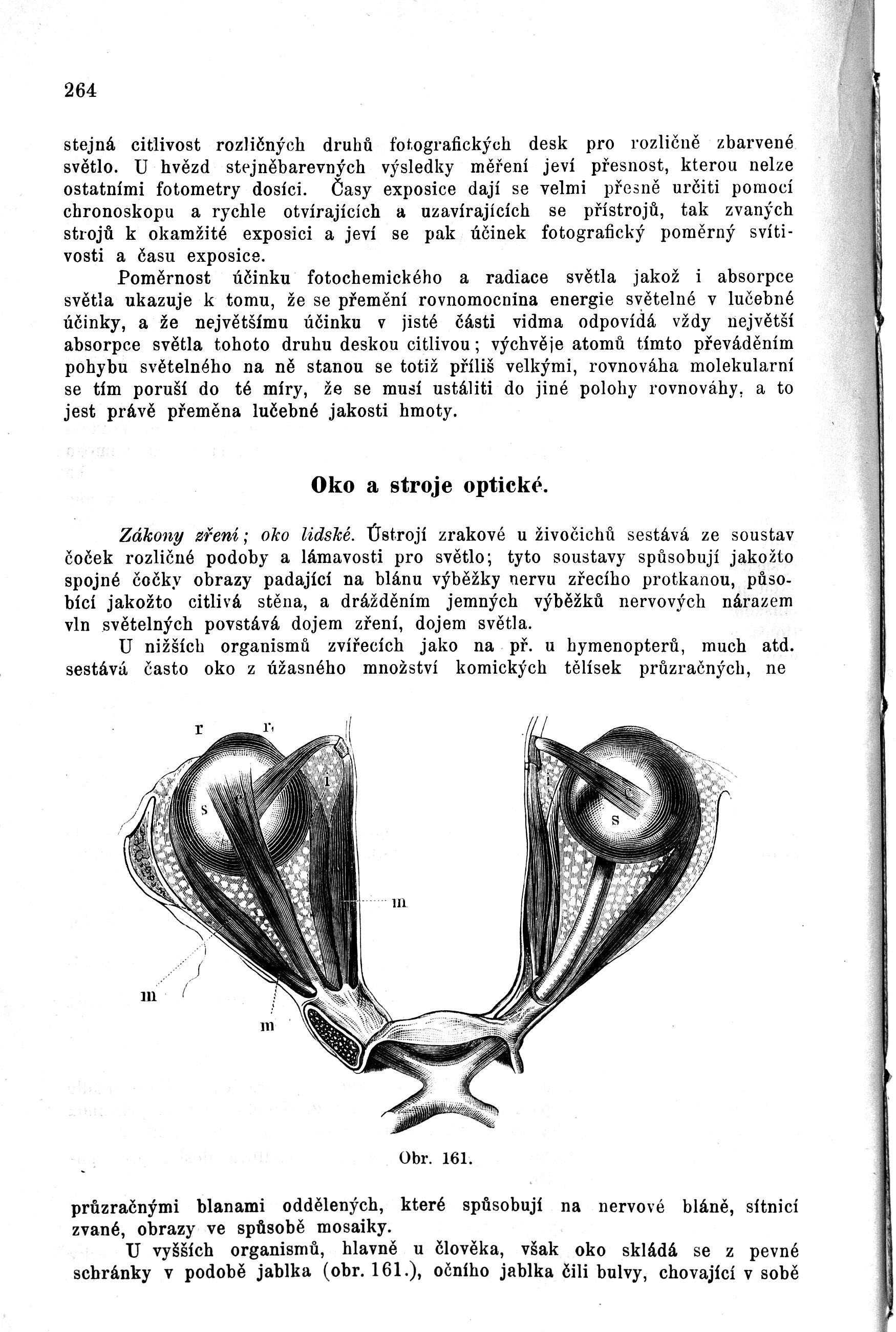 k264.jpg